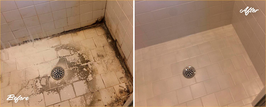 Shower Restored by Our Professional Tile and Grout Cleaners in Tacoma, WA